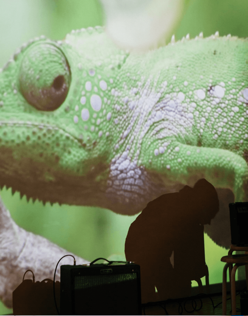 /images/karma/chameleon.png