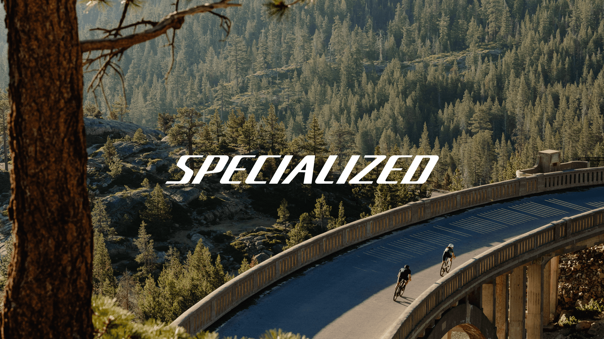 Specialized primary wordmark